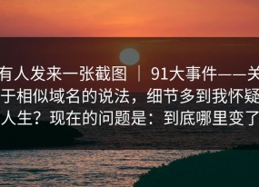 有人发来一张截图 ｜ 91大事件——关于相似域名的说法，细节多到我怀疑人生？现在的问题是：到底哪里变了