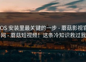 iOS 安装里最关键的一步 - 蘑菇影视官网 - 蘑菇短视频！这条冷知识救过我